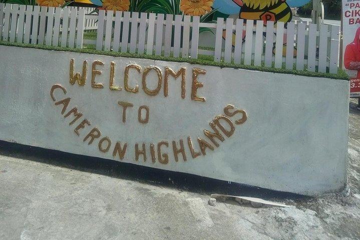 Cameron Highlands Day Trip