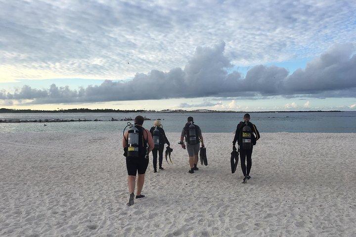 Ingen erfarenhet krävs för att upptäcka Scuba i Florida