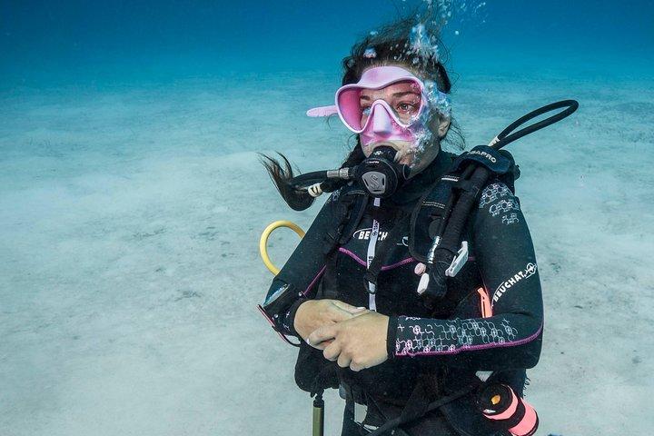 PADI ディスカバー スキューバ ダイビング