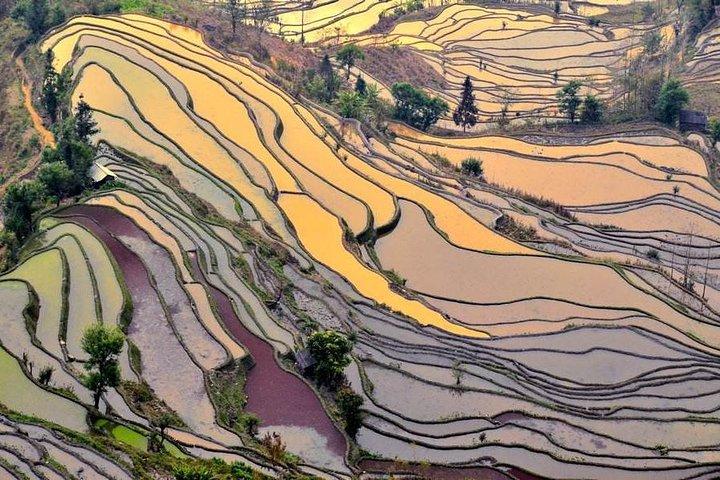 7-dagars turné från Kunming till Lijiang och över natten i Yuanyang risterrasser