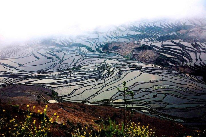 4-dages Stone Forest, Yuanyang Terraces og Jianshui Private Tour fra Kunming