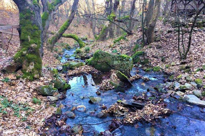 Mosteiros de Strumica e cachoeiras de Skopje