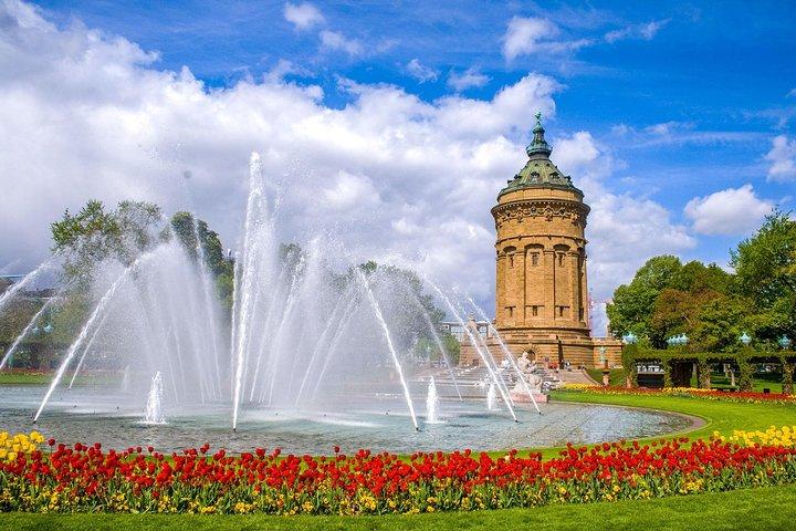 Explora Mannheim en 60 minutos con un local