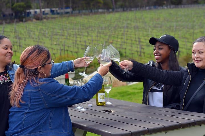Top Cape Winelands Tour – Stellenbosch & Franschhoek Wine Tram