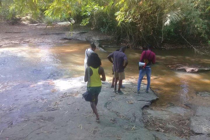 Black History Tour - Back to Your Roots (Accra to Assin to Cape Coast to Elmina)