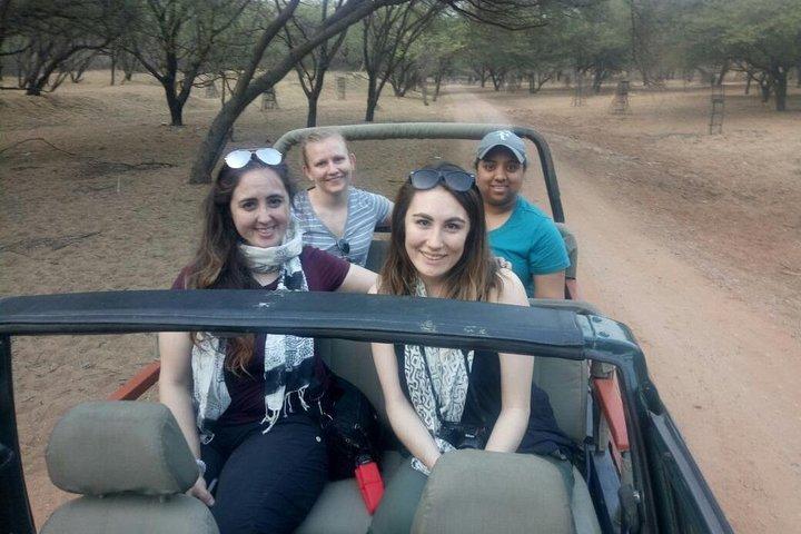 1 Tag: Jhalana Leopard Safari+Abhaneri Step Well Tour von Jaipur