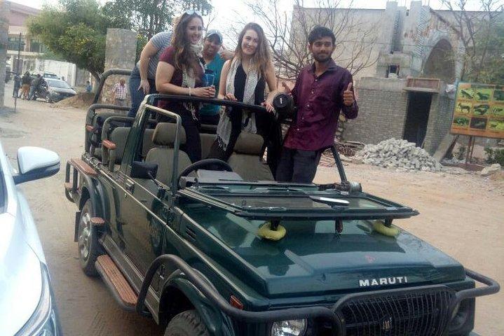 1 Tag: Jhalana Leopard Safari+Abhaneri Step Well Tour von Jaipur