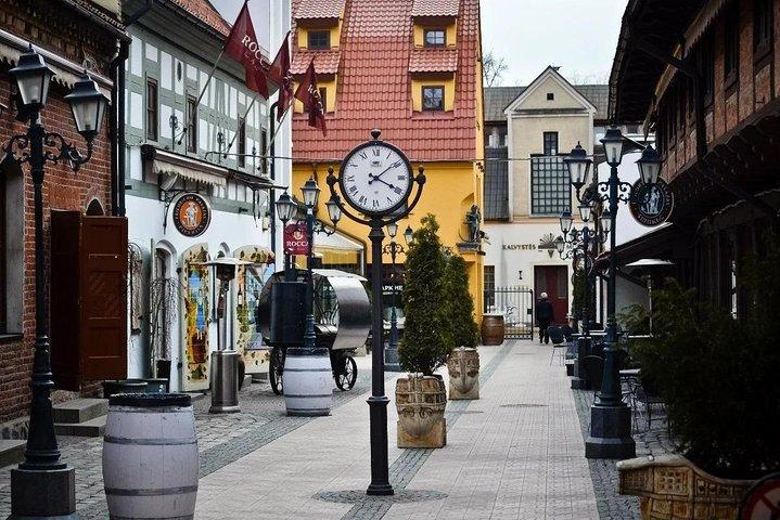 Private Shore Excursion: Walking Tour of Klaipeda Old Town en bezoek aan Palanga