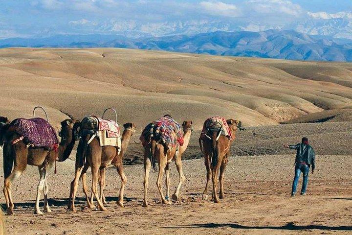 Agafay camel ride and desert tour
