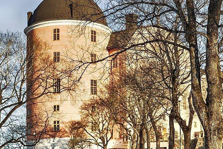 Viagem de um dia para Uppsala