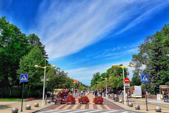 Private Shore Excursion: Walking Tour of Klaipeda Old Town en bezoek aan Palanga