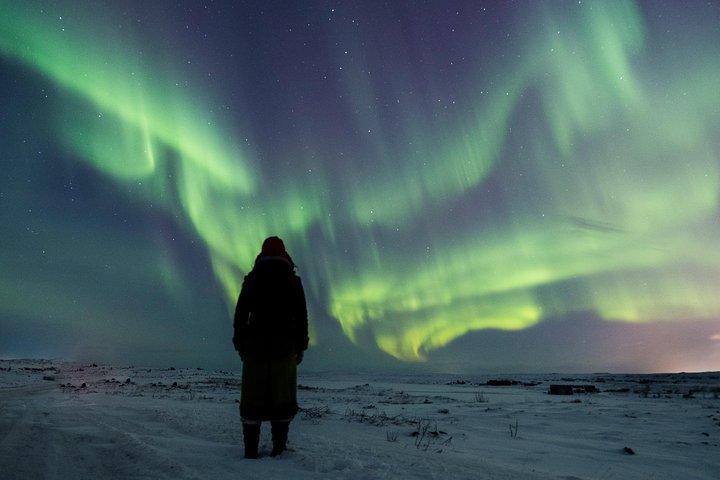 Tour per piccoli gruppi dell'aurora boreale da Reykjavik con foto gratuite