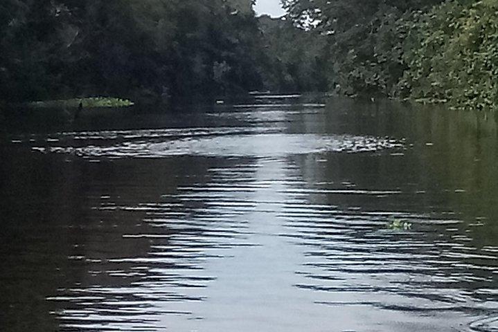 Heldagstur på Amazonfloden