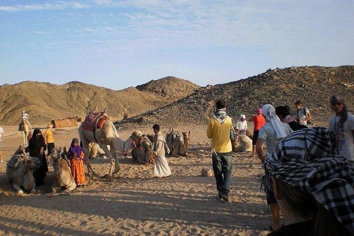 Marsa Alamのジープによる砂漠のスーパーサファリツアー