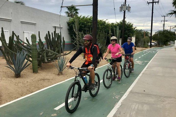 Tour in mountain bike nel deserto di San Jose del Cabo