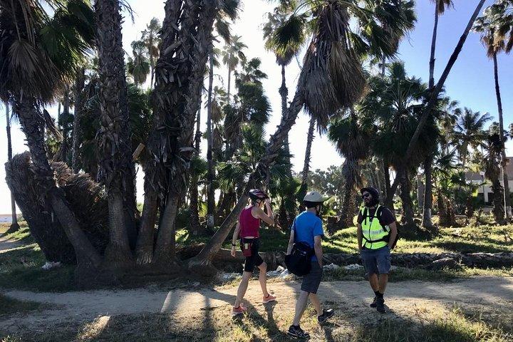 Tour in mountain bike nel deserto di San Jose del Cabo