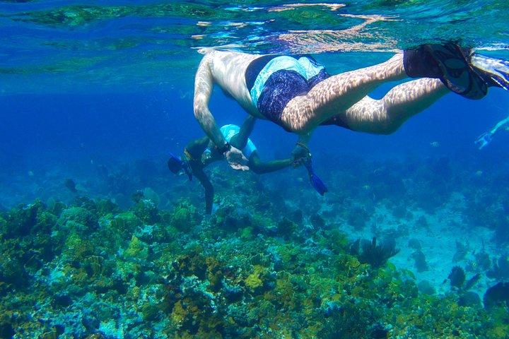 Boottocht met glazen bodem / snorkelen / Booby Cay-eiland vanuit Grand Palladium Lucea