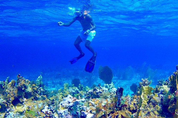 Boottocht met glazen bodem / snorkelen / Booby Cay-eiland vanuit Grand Palladium Lucea