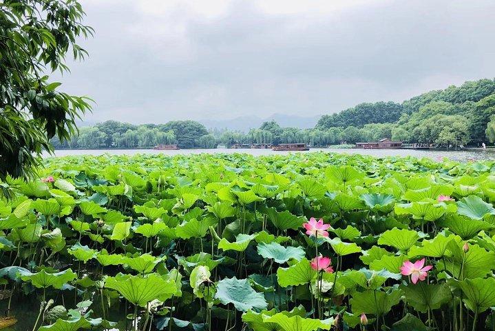 7日間のプライベートツアー：上海、蘇州、杭州のすばらしい街のハイライト