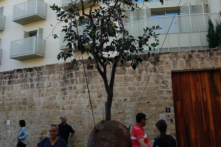 Tour privado: sin escalas Tel-Aviv