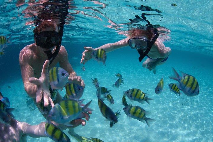 Melhor snorkel em Bali nas excursões Blue LAGOON e EAST BALI
