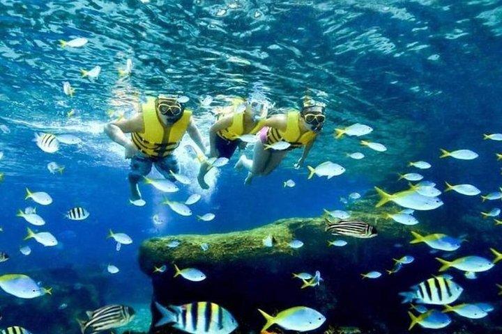 Adventure Cove WaterPark Sentosa Island Singpore valfri biljett