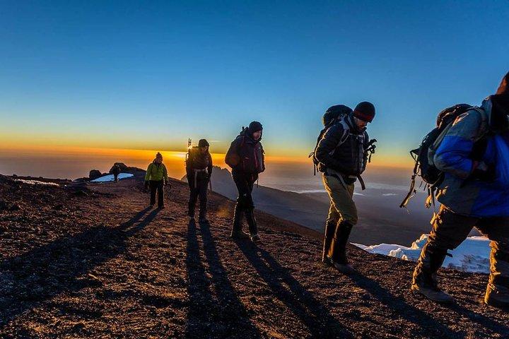 El mejor Kilimanjaro de 6 días de senderismo (ruta de la Chame)ruta del whisky
