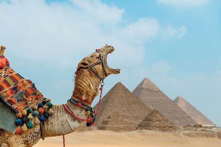 Dagtocht naar Caïro vanuit Luxor per vlucht