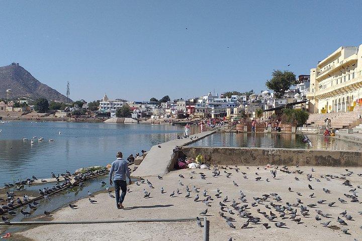 Jaipur Pushkar Tagesausflug mit dem Auto