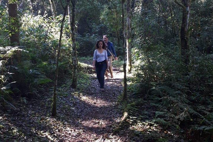 excursion de un dia a los saltos del Mocona y parque provincial Salto Encantado