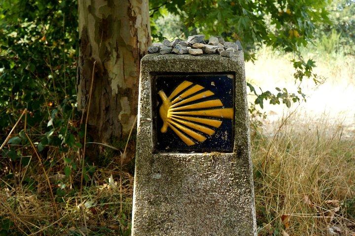 8-dages Camino Frances Pilgrimage Tour fra Sarria til Santiago - 2nts Santiago