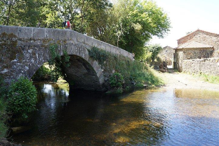 8-dages Camino Frances Pilgrimage Tour fra Sarria til Santiago - 2nts Santiago