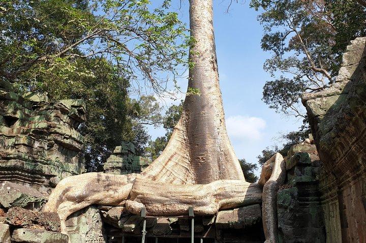 Angkor Wat Full Day Tour in Siem Reap Small-Group