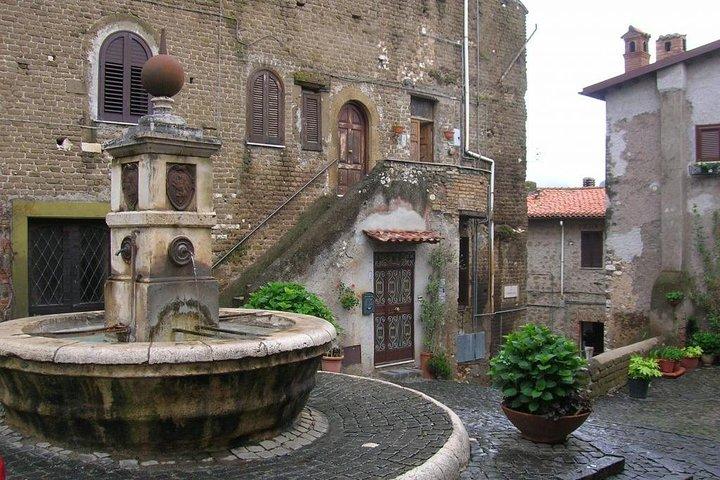 Wine Tour ten zuiden van Rome