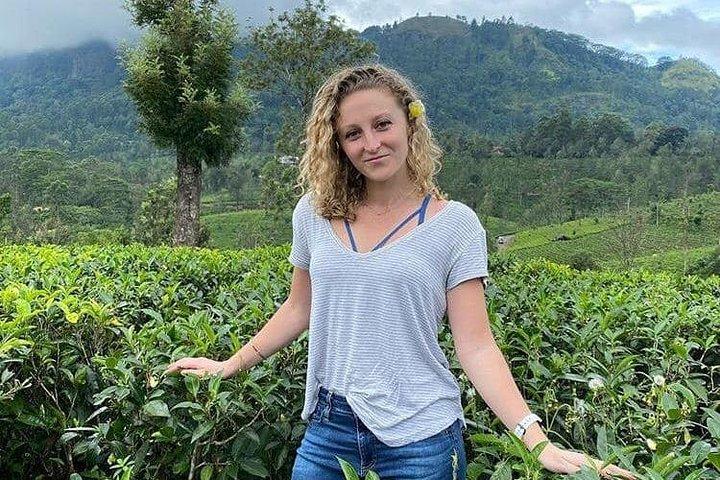 Tour della città di Kandy Tuk Tuk – Tempio dei Denti, Lago e Belvedere