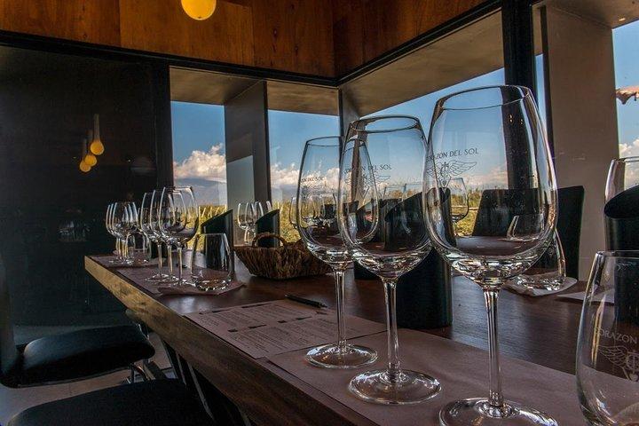 Tour en grupo reducido en 3 bodegas del Norte del Valle de Uco con almuerzo