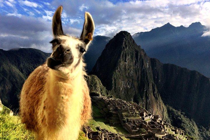 6-Tage: Cusco || MachuPicchu || Heiliges Tal ||Maras Moray ||Regenbogenberg ||