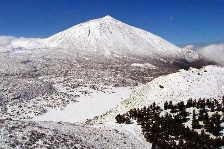 Teide Half Day National Park Bus Tour