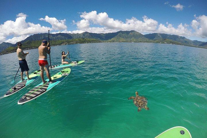 Mahina Hawaii Full Day Adventure