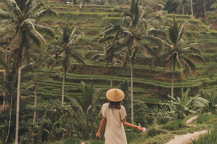 Bali Instagram Tours