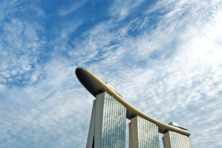 6時間 - 運転手付き専用車またはミニバスでのシンガポールツアー