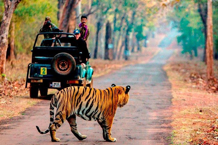 4 Day Golden Triangle Tour with Ranthambore Safari from Delhi