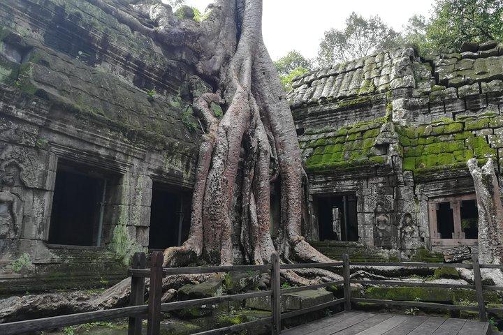Angkor Wat Sunrise TukTuk Tour