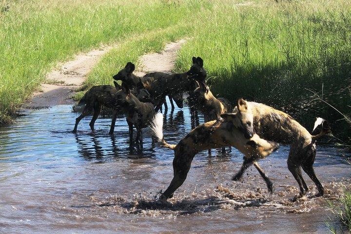 Okavango delta - Chobe Adventure 7 Nights/8 Days