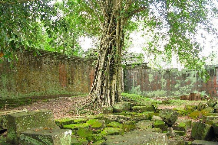 Angkor Wat Private Tour with English Speaking Driver, NO guide