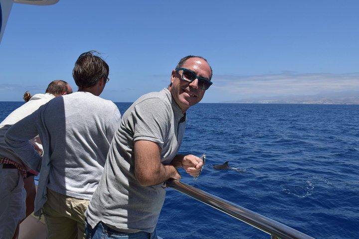 2-timers Dolphin og Whale Watching på Gran Canaria