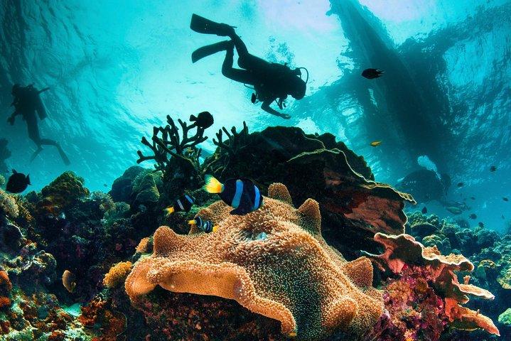 Upptäck Scuba Diving