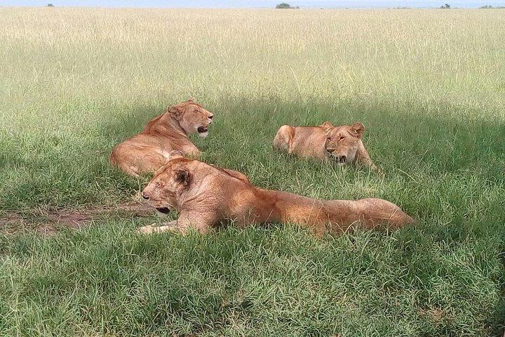 7-Days Honeymooners Tours