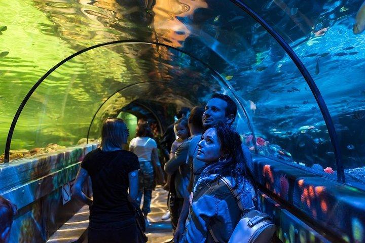 Boleto de entrada SEA LIFE Brighton