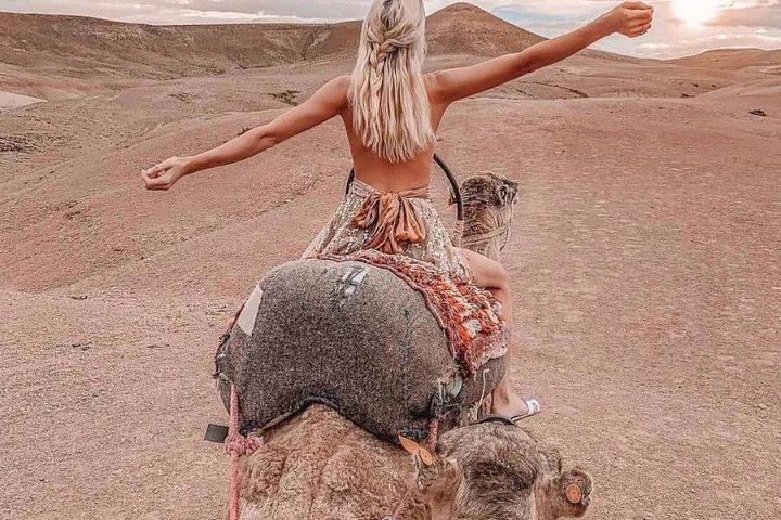 Dromedário no deserto agafay